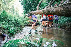 BIB: 
                            <button type="button" onclick="openModal(25476118)" class="btn btn-primary btn-sm float-right btn-popup" data-toggle="modal" data-target=".modal-high-quality">
                        <i class="fas fa-shopping-cart"></i> Add to Cart
                    </button>
                                            <button type="button" onclick="isThisMe(25476118, true)" class="btn btn-success btn-sm float-right btn-popup btn-isme hidden" data-toggle="tooltip" data-placement="bottom" title="นี่คือรูปของคุณใช่ไหม คลิกที่นี่เพื่อเอาเข้าอัลบั้ม">
                        <i class="fas fa-plus"></i> Add to album
                    </button>
                    <button type="button" onclick="isThisMe(25476118, false)" class="btn btn-warning btn-sm float-right btn-popup btn-isnotme hidden">
                        <i class="fas fa-ban"></i> Remove from album
                    </button>